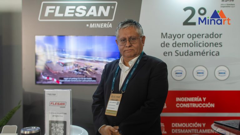 Flesan Minería web