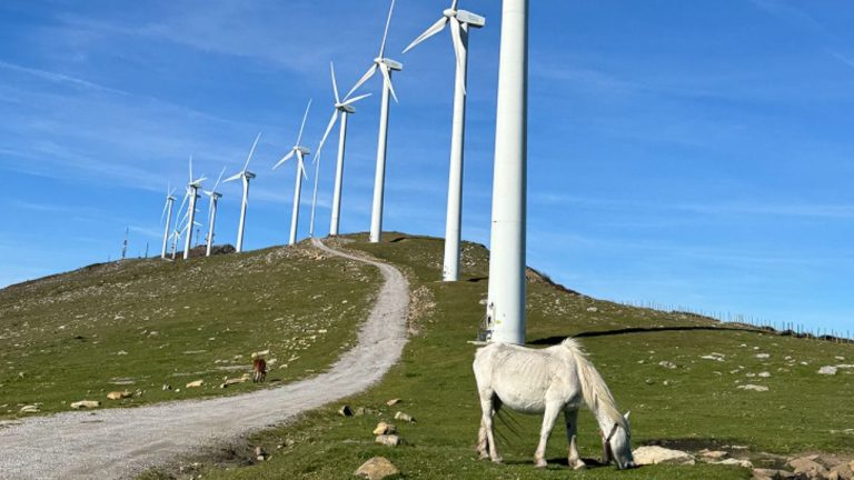 IBERDROLA 2