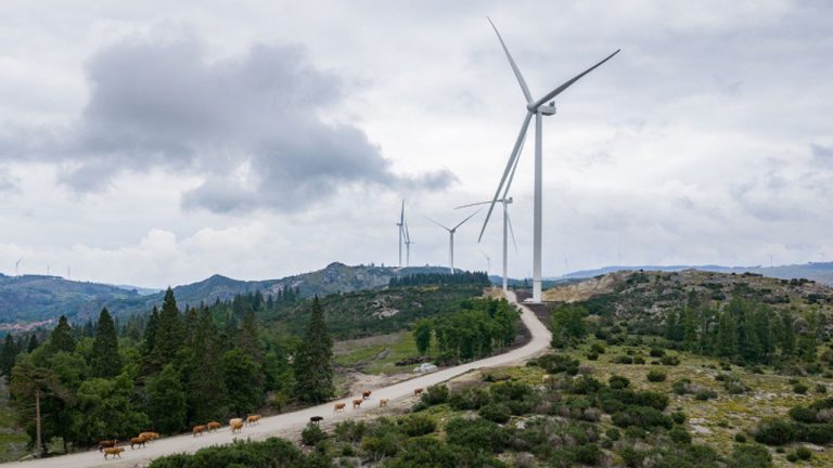 IBERDROLA