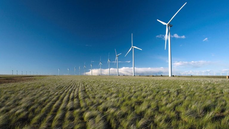 IBERDROLA