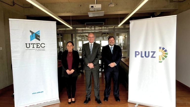 Pluz Energía