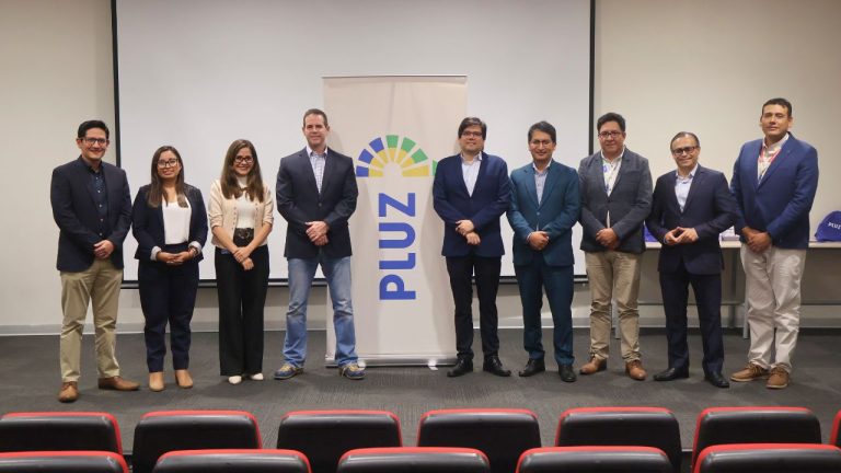 Sesiones de trabajo - Pluz Energía