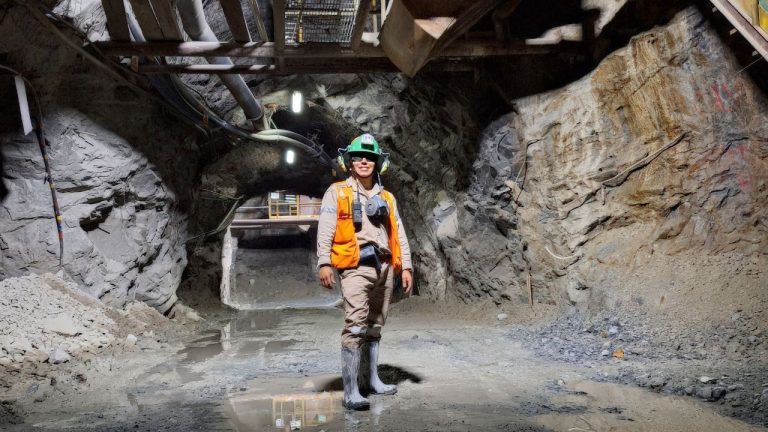 genmining 1